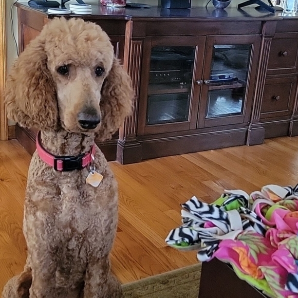 For Dogs Hand crafted snuffle sniffer enrichment mat for large dogs - Picture 17 of 17